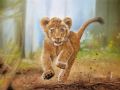 LionSaut WEB